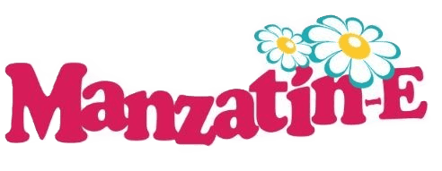 Logo 40
